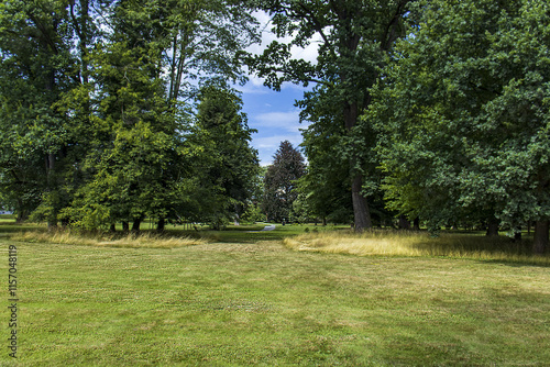 A beautiful green park with manicured green grass and large leafy trees. Park on a sunny day, nature, grass, trees, sky.