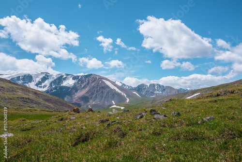 Wallpaper Mural Scenic alpine view from grassy green hill to large snow mountain range in sunlight. Colorful landscape with rock hills and high snowy mountains in changeable weather. Shadows of clouds under blue sky. Torontodigital.ca