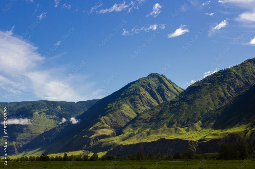Obraz premium Breathtaking view of the Chulyshman Valley in Altai, Russia. Lush green meadows stretch towards towering, sunlit mountains under dramatic sky. Serene natural retreat ideal for outdoor adventures