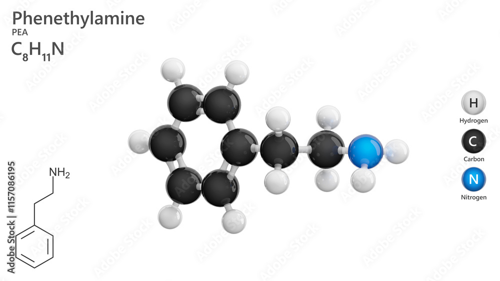 Molecule: Phenethylamine. Monoamine alkaloid. Molecular structure. Formula: C8H11N. Chemical model: Ball and stick. White background. 3D illustration. Molecule: Phenethylamine. Monoamine alkaloid. Molecular structure. Formula: C8H11N. Chemical model: Ball and stick. White background. 3D illustration.