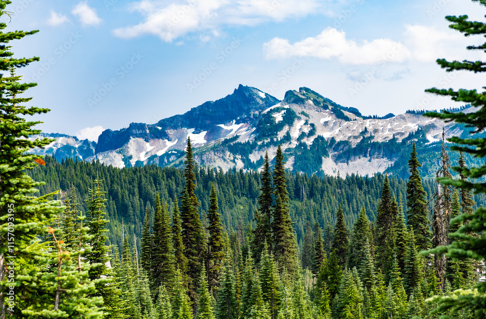 Fototapeta premium Scenery autumn countryside. Tahoma mountain landscape with forest. Mount Rainier mountain landscape. Forest nature. Nature in mountain countryside. Scenery landscape of mountain. Vast wilderness