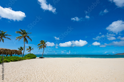 palm beach chaise longue photo