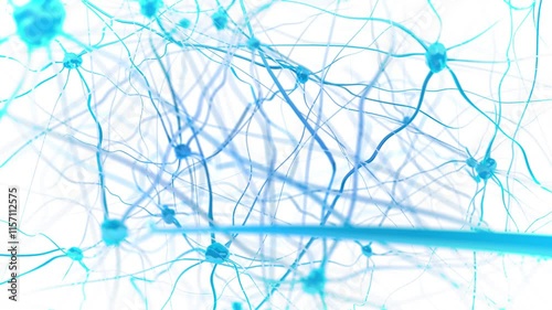 Fly through neurons and the nervous system. Synaptic transmission. (loop video)