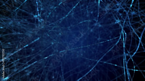 Neurons and nervous system. Synaptic transmission.