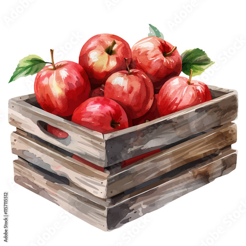 A watercolor vector of a wooden crate filled with freshly picked red apples, isolated on a white background. Red apples vector.
