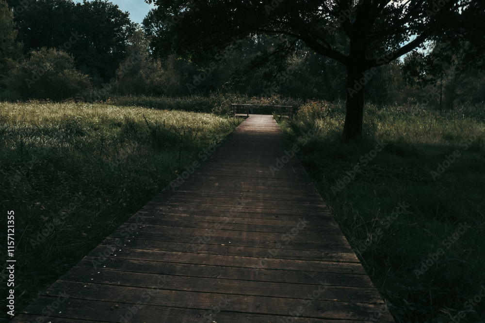 A wooden path winds through the park, blending harmoniously with nature A wooden path winds through the park, blending harmoniously with nature