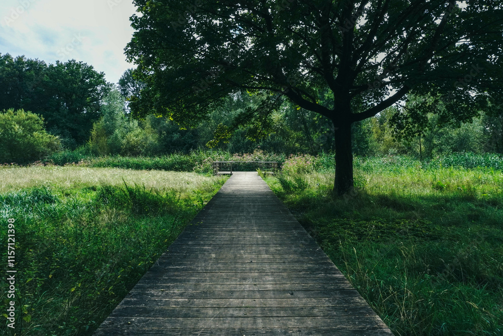 A wooden path winds through the park, blending harmoniously with nature A wooden path winds through the park, blending harmoniously with nature