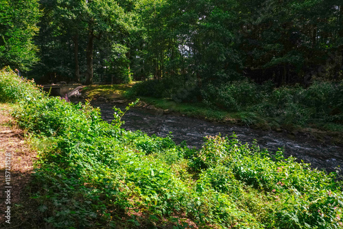 A shallow stream with clear water, revealing the riverbed below photo