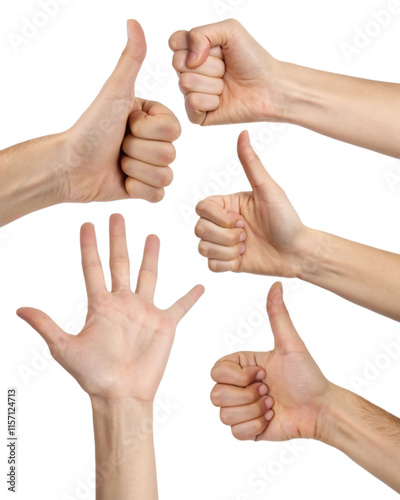 Different hand gesture, sign, symbol set. Holding, grabbing, show quantity, fist isolated on white