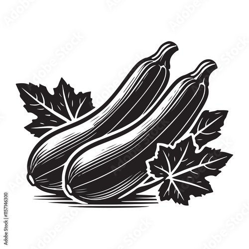 Zucchini Silhouette Vector Illustration, Solid White Background.