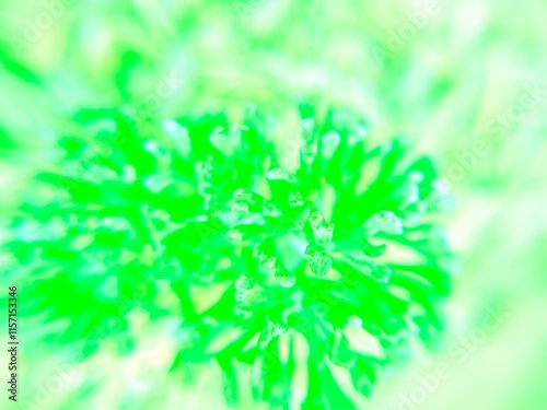 Digital photo editing: Vibrant close-up abstract of a lime green leafy plant with a subtle, intricate texture. Perfect for nature, botanical, and spring themes.