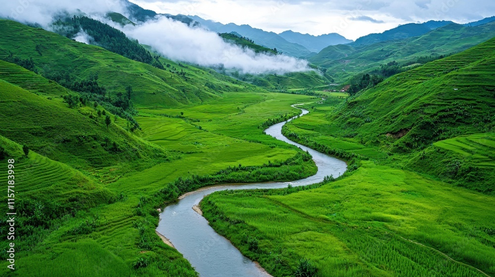 Lush Green Tea Plantation Landscape with Winding River and Misty Mountains in the Background Lush Green Tea Plantation Landscape with Winding River and Misty Mountains in the Background