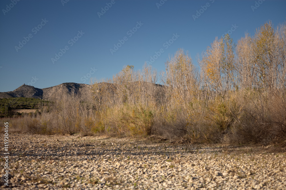 Fototapeta premium autumn in the mountains
