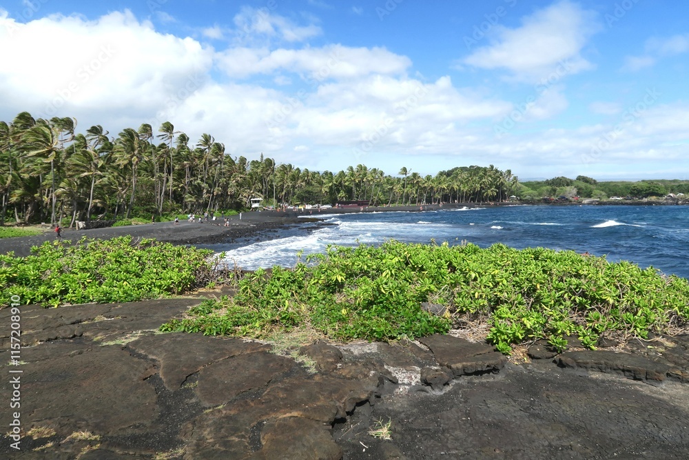 Punaluʻu Black Sand Beach, Island of Hawaii Punaluʻu Black Sand Beach, Island of Hawaii