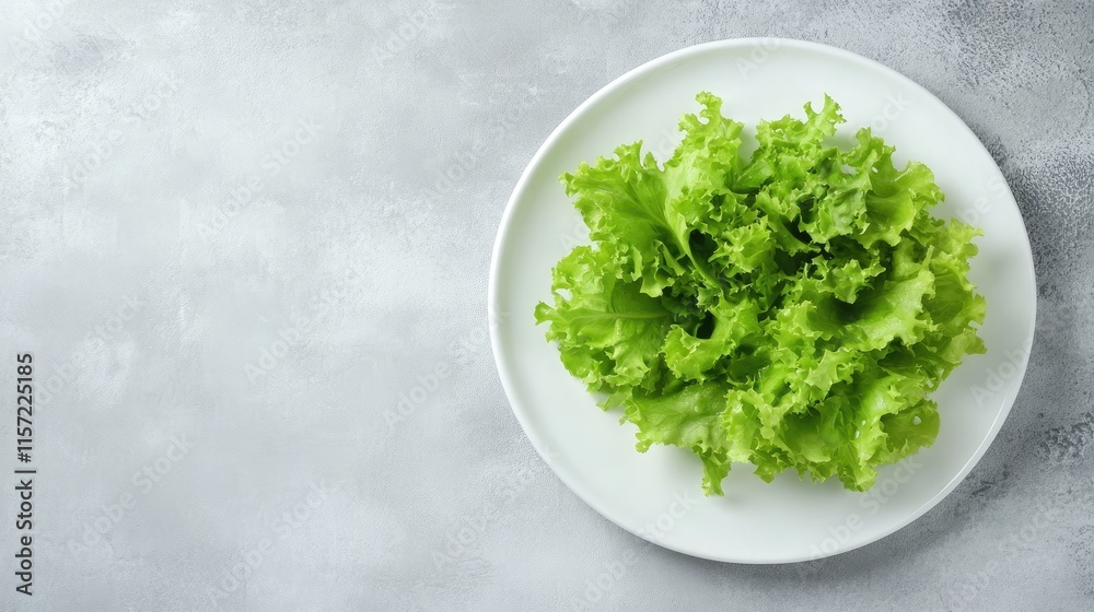 Fresh Green Lettuce Leaves on White Plate with Gray Background Fresh Green Lettuce Leaves on White Plate with Gray Background