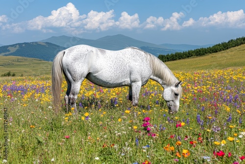 A beautiful dappled grey horse grazing in a field of wildflowers under a bright summer sky