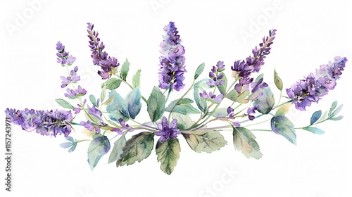 Exquisite Anise Hyssop Watercolor Floral Arrangements with Beautiful Blooms