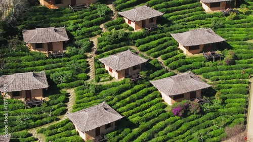 Aerial view of the Chinese village of Ban Rak Thai with tea plantations, Thailand