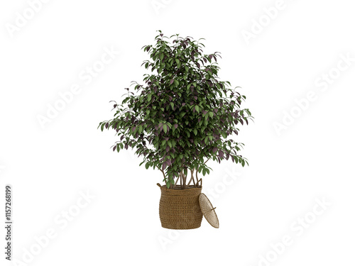 Green Plant Pot on White Background 3D Render