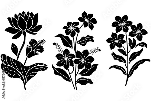 Fotografie Black and white silhouette of a flower on white background