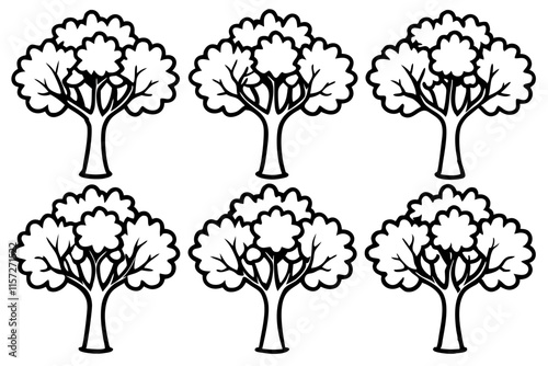 Plane Tree Line Art Bundle set
