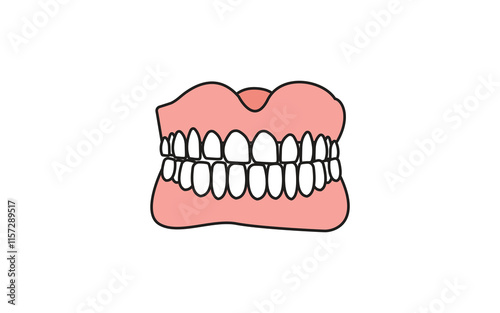 A detailed illustration of a human mouth showing upper and lower teeth structure with gums, outlined in a simple cartoon style on a white background.