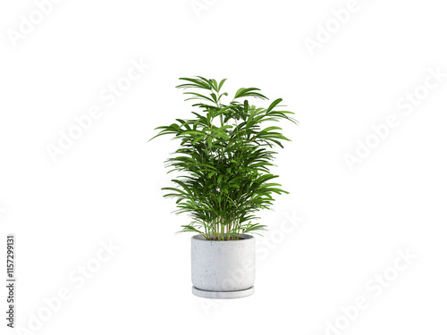 Green Plant Pot on White Background 3D Render