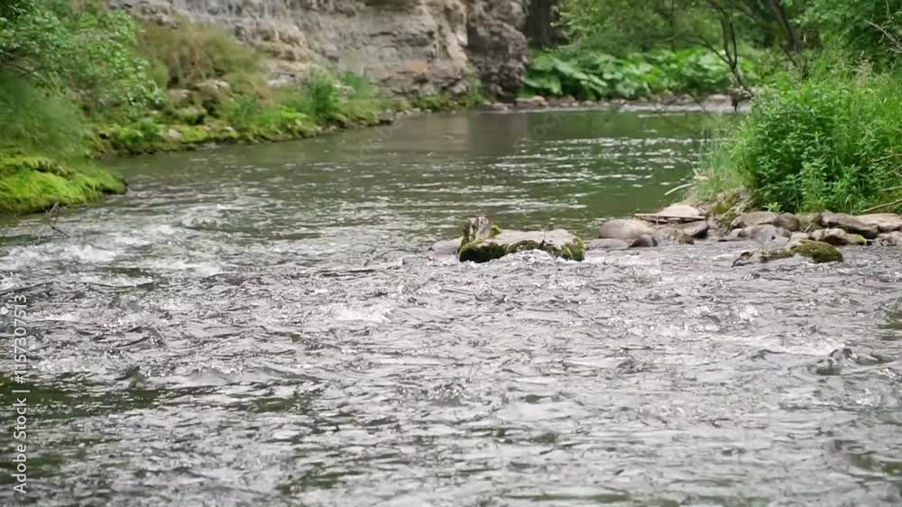 Calm river flowing through lush greenery in a serene natural setting near a rocky cliffside Calm river flowing through lush greenery in a serene natural setting near a rocky cliffside