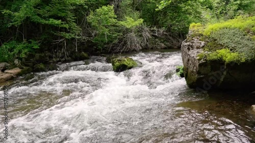 Calm river flows through lush greenery in a peaceful forest setting