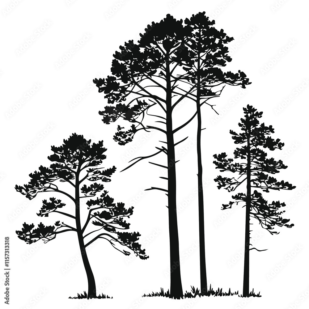 Obraz premium set of trees