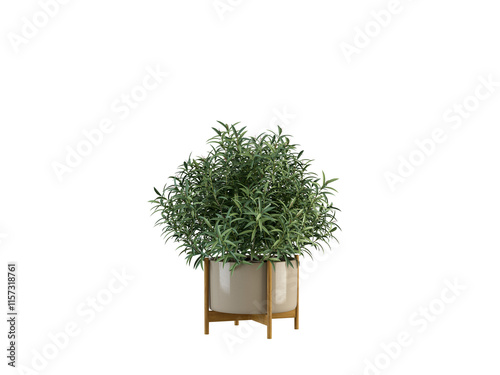 Green Plant Pot on White Background 3D Render