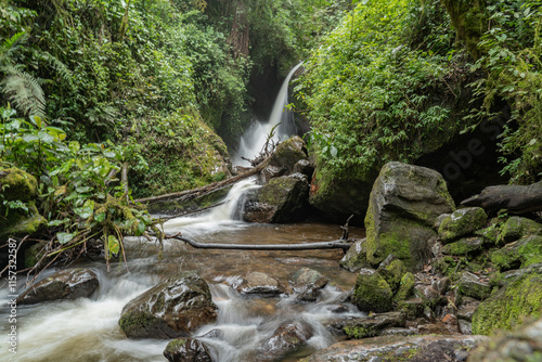 Fototapeta Naklejka Na Ścianę i Meble -  Little waterfalls in the jungle of Colombia.