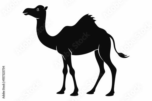 Camel Silhouette, Camel Isolated On White Background. Camel on black and white vector design