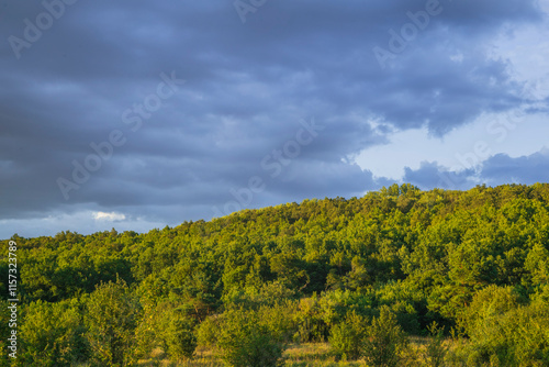 cloudy landscape at sunset in the countryside