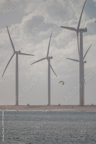 kite