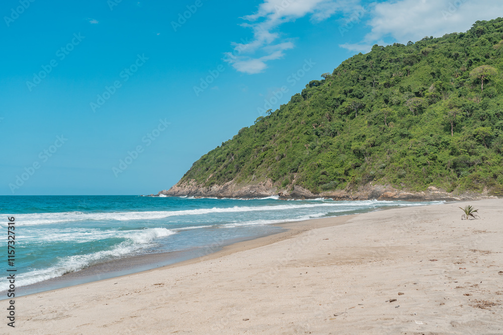 Sandy beaches in the jungle of Tayrona National Park in Colombia. Sandy beaches in the jungle of Tayrona National Park in Colombia.