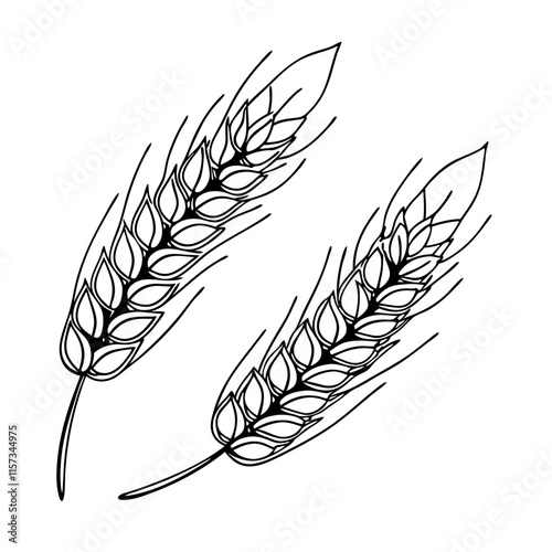 Wheat Sheaf Line Drawing. Vector illustration 
