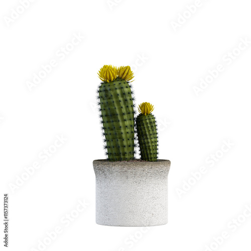 cactus in a pot 3d render