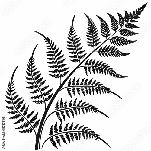 Wild Fern vector silhouette black design white background