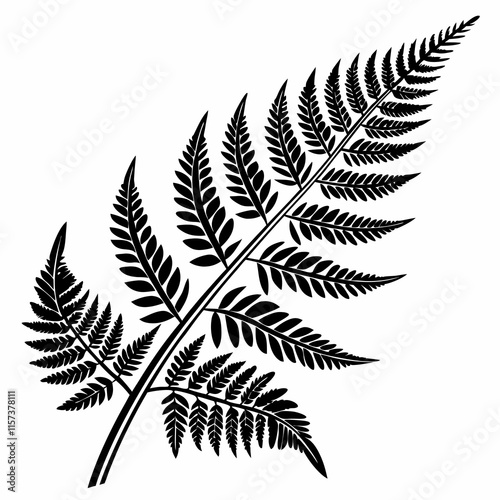 Wild Fern vector silhouette black design white background