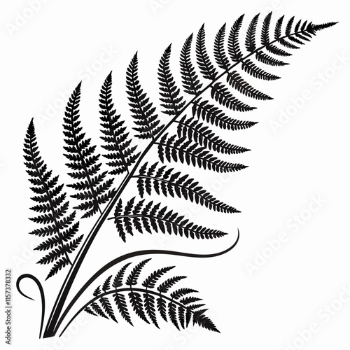 Wild Fern vector silhouette black design white background