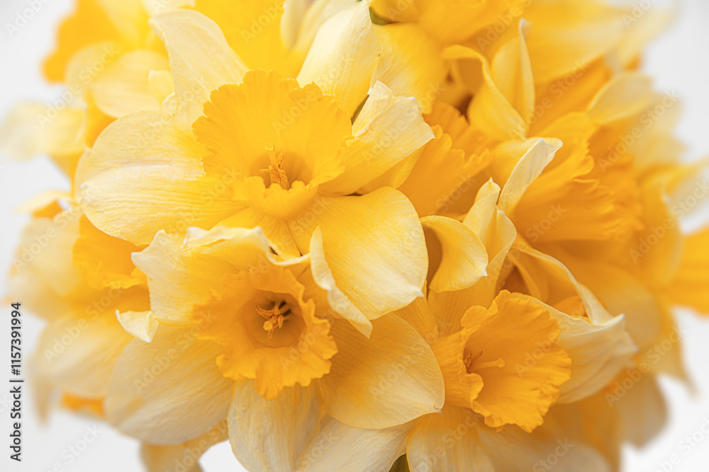 Close-up of a bouquet of yellow daffodils.