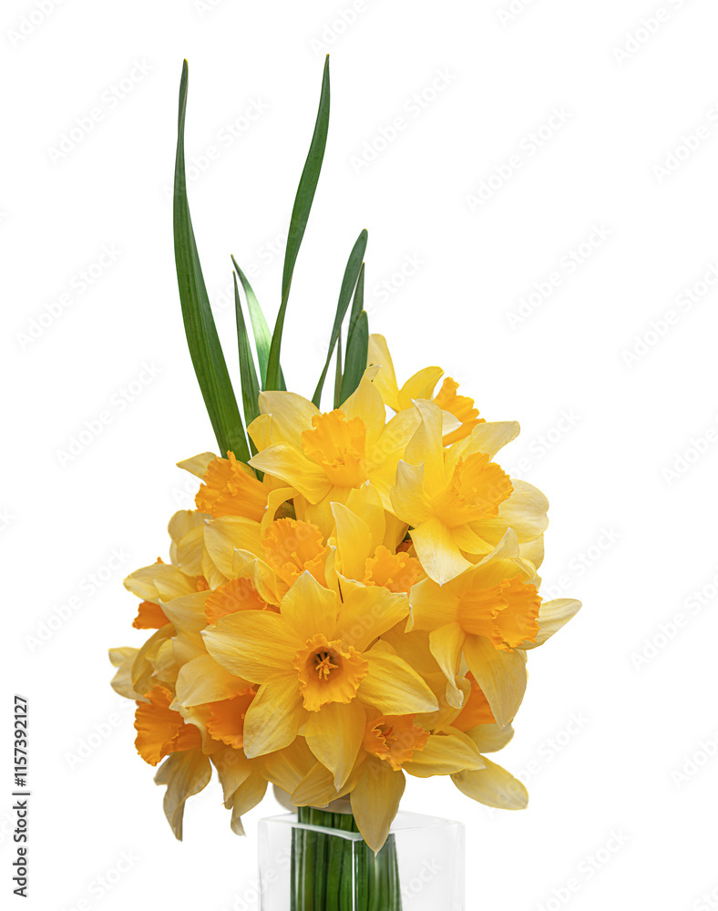 Close-up of a bouquet of yellow daffodils.