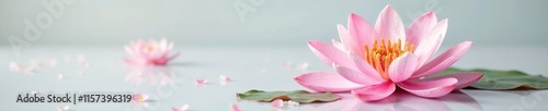 Delicate pink petals unfolding on a white surface, water lily, nature