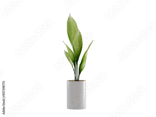 Green Plant Pot on White Background 3D Render