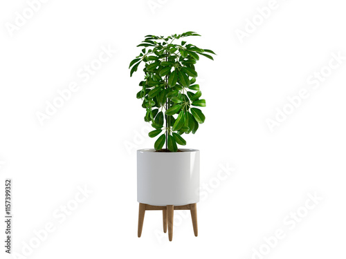 Green Plant Pot on White Background 3D Render