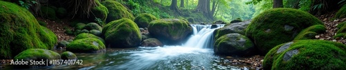 Misty forest creek waterfalls over mossy rocks, waterfall, misty, small water