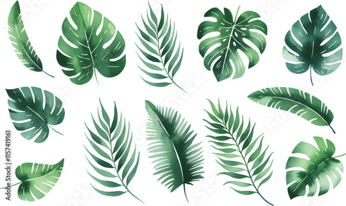 Set of tropical floral watecolor. Tropical green leaves on white background. Watercolor set of vector tropical leaves.