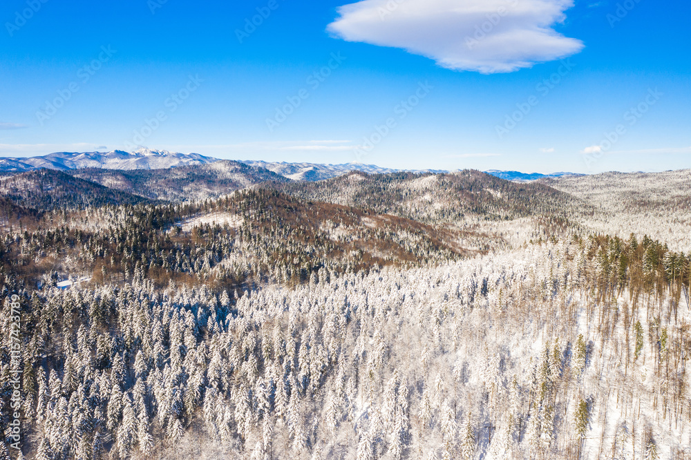 Croatian nature landscape, beautiful winter panorama of woods in Gorski kotar region