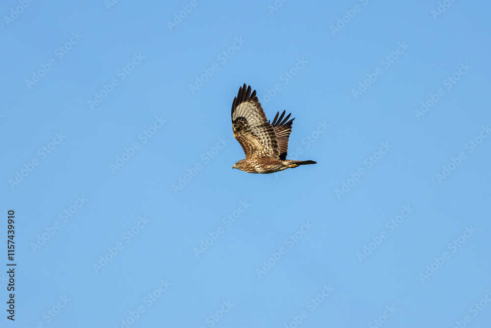 Fototapeta premium Generated Image